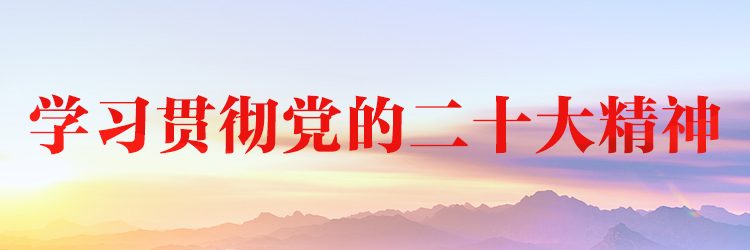 黨的二十大的重大意義